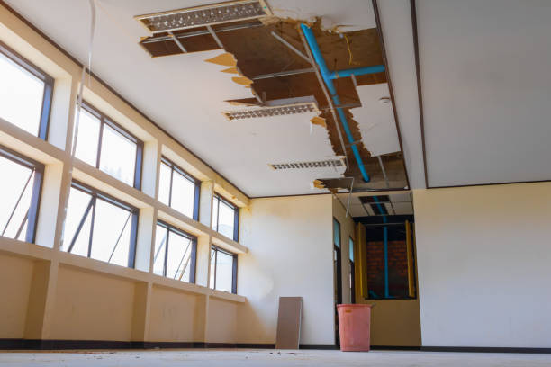 Best 24-hour water damage restoration  in Mount Zion, IL