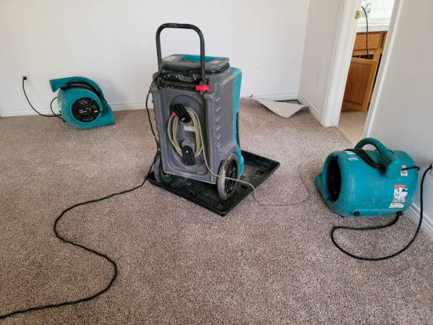 Best Flooded house restoration  in Mount Zion, IL