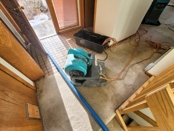 Best Carpet water damage restoration  in Mount Zion, IL