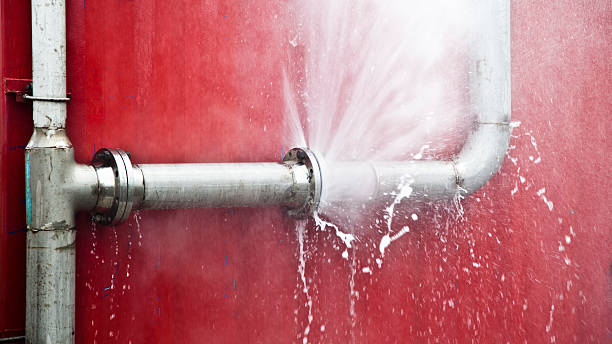 Best Water damage restoration services  in Mount Zion, IL